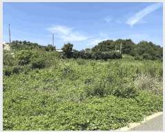  2025Ÿ��51798 ���� ������ ������ ��θ� 405-7      ����(��1)���