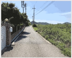  2025Ÿ��51798 ���� ������ ������ ��θ� 405-7      ����(��1)���