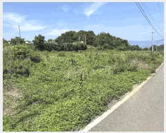  2025Ÿ��51798 ���� ������ ������ ��θ� 405-7      ����(��1)���