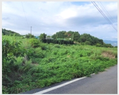  2025Ÿ��51798 ���� ������ ������ ��θ� 405-7      ����(��1)���