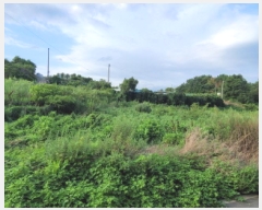  2025Ÿ��51798 ���� ������ ������ ��θ� 405-7      ����(��1)���