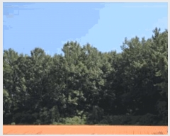  2025Ÿ��51846  �����