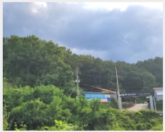  2025Ÿ��51846  �����