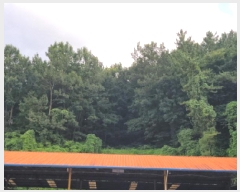  2025Ÿ��51846  �����