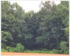  2025Ÿ��51846  �����