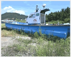  2025Ÿ��51888 ���� ������ ���� 37-542 ������ ������     ���ڰ��