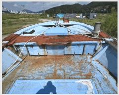  2025Ÿ��51888 ���� ������ ���� 37-542 ������ ������     ���ڰ��