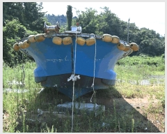  2025Ÿ��51888 ���� ������ ���� 37-542 ������ ������     ���ڰ��