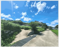  2025Ÿ51894  õ 뵿 1106       (1)