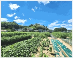  2025Ÿ51894  õ 뵿 1106       (1)