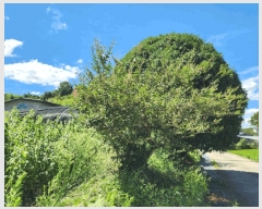  2025Ÿ51894  õ 뵿 1106       (1)