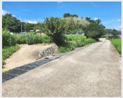  2025Ÿ51894  õ 뵿 1106       (1)