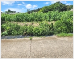  2025Ÿ51894  õ 뵿 1106       (1)