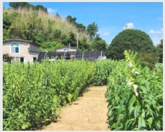  2025Ÿ51894  õ 뵿 1106       (1)