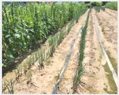  2025Ÿ51894  õ 뵿 1106       (1)