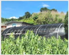  2025Ÿ51894  õ 뵿 1106       (1)