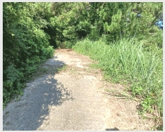  2025Ÿ51900  ﱺ  űݸ 786      (1)