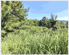  2025Ÿ51900  ﱺ  űݸ 786      (1)