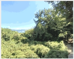  2025Ÿ51900  ﱺ  űݸ 786      (1)