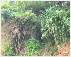  2025Ÿ51900  ﱺ  űݸ 786      (1)