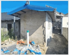  2025Ÿ��51918  ���ð��