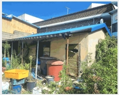  2025Ÿ��51918  ���ð��