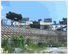  2025Ÿ��51925 ���� ��õ�� ������ ������ 629-4      ���ð��