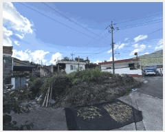  2025Ÿ��51930  �������