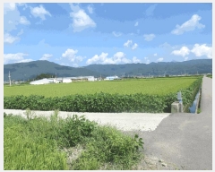  2025Ÿ��51936 ���� ������ ������ ������ 2477-3      ����(��)���