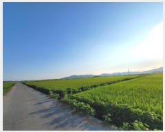  2025Ÿ��51936 ���� ������ ������ ������ 2477-3      ����(��)���