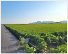  2025Ÿ��51936 ���� ������ ������ ������ 2477-3      ����(��)���