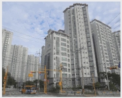  2025Ÿ��51963  ����Ʈ���