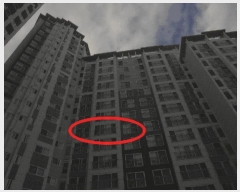  2025Ÿ��51963  ����Ʈ���