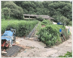  2025Ÿ��51986 ���� ����� ������ �׸��� 1247      ����(����)���