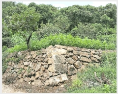  2025Ÿ��51986 ���� ����� ������ �׸��� 1247      ����(����)���