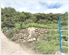  2025Ÿ��51986 ���� ����� ������ �׸��� 1247      ����(����)���