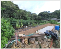  2025Ÿ��51986 ���� ����� ������ �׸��� 1247      ����(����)���