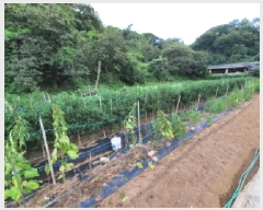  2025Ÿ��51986 ���� ����� ������ �׸��� 1247      ����(����)���