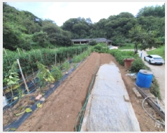  2025Ÿ��51986 ���� ����� ������ �׸��� 1247      ����(����)���