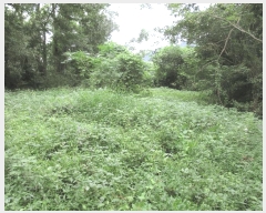  2025Ÿ��52003 ���� ������ ������ �೻�� 402      ����(��1)���