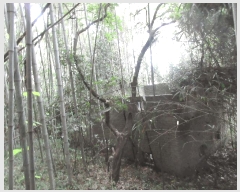  2025Ÿ��52003 ���� ������ ������ �೻�� 402      ����(��1)���