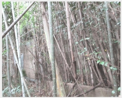  2025Ÿ��52003 ���� ������ ������ �೻�� 402      ����(��1)���