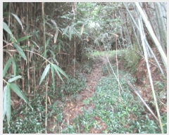  2025Ÿ��52003 ���� ������ ������ �೻�� 402      ����(��1)���