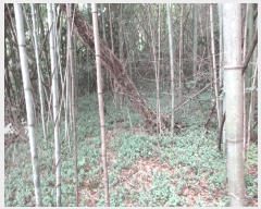  2025Ÿ��52003 ���� ������ ������ �೻�� 402      ����(��1)���