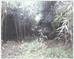  2025Ÿ��52003 ���� ������ ������ �೻�� 402      ����(��1)���