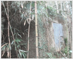  2025Ÿ��52003 ���� ������ ������ �೻�� 402      ����(��1)���