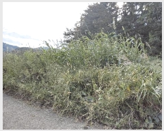  2025Ÿ��52015  �����