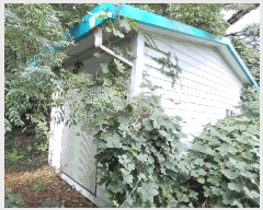  2025Ÿ��52015 ���� ���ﱺ �ݻ�� ������ 1463-1      ����(��)���