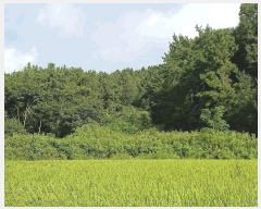  2025Ÿ��52021  �����