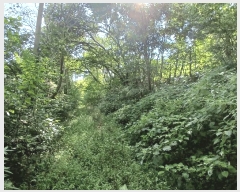  2025Ÿ��52021  �����